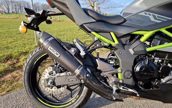Neufahrzeug Kawasaki Z125 - Bild 3