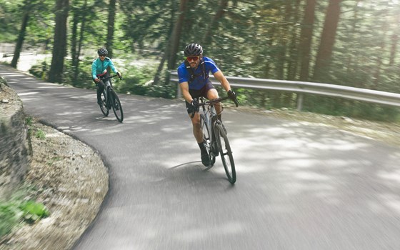 Neufahrzeug Yamaha Wabash RT - Bild 7