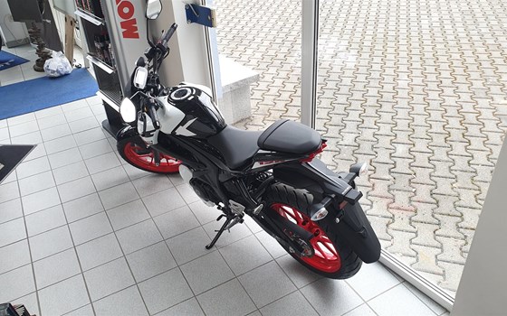 Neufahrzeug Suzuki GSX-S125 - Bild 2