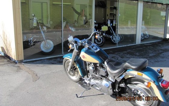 Gebrauchtmotorrad Harley-Davidson Softail Evo 1340 - Bild 2 Gebrauchtmotorrad Harley-Davidson Softail Evo 1340 - Bild 2