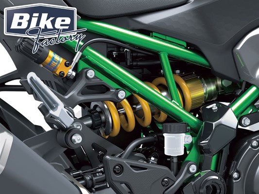 Kawasaki Z900 SE (GY1 Grau Schwarz Grün) - Bild 4