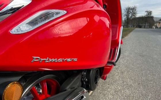 Neufahrzeug Vespa Primavera 125 (RED) - Bild 4 Neufahrzeug Vespa Primavera 125 (RED) - Bild 4