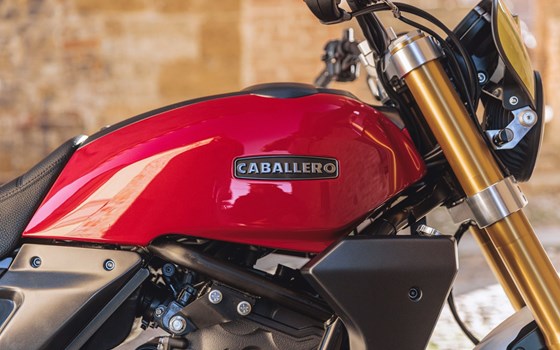 Neufahrzeug Fantic Caballero 700 - Bild 9