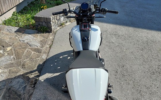 Gebrauchtmotorrad Indian FTR Sport - Bild 8 Gebrauchtmotorrad Indian FTR Sport - Bild 8