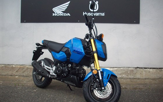 Neufahrzeug Honda MSX125 Grom - Bild 2