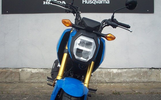 Neufahrzeug Honda MSX125 Grom - Bild 3