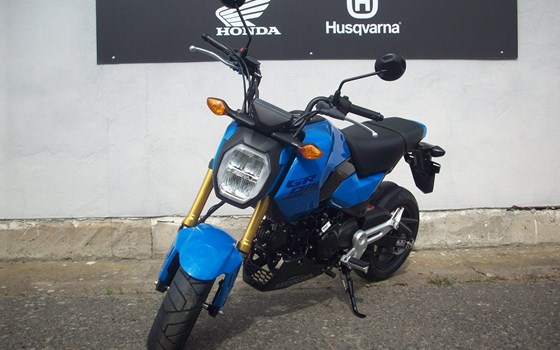 Neufahrzeug Honda MSX125 Grom - Bild 4