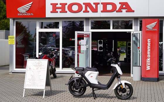 Neufahrzeug NIU UQi GT - Bild 1