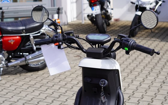 Neufahrzeug NIU UQi GT - Bild 4