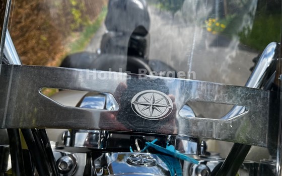 Gebrauchtmotorrad Yamaha XVS 1300 Custom - Bild 5