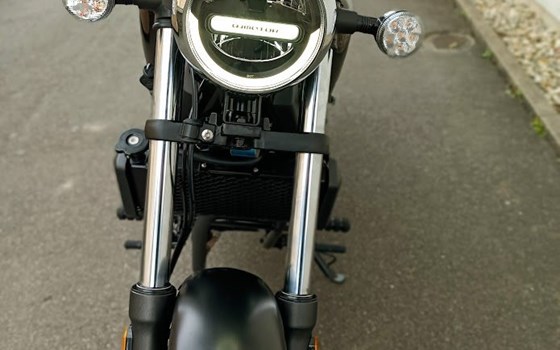 Neufahrzeug QJ Motor SRV 125 - Bild 4