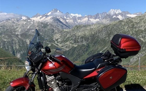 Motorrad Occasion Honda CBF 600 - Bild 1