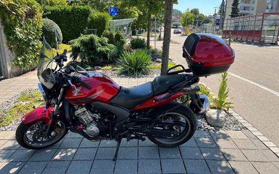 Motorrad Occasion Honda CBF 600 - Bild 4