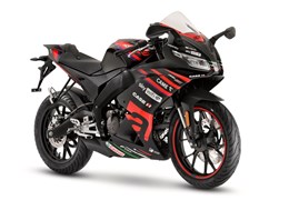 Neumotorrad Aprilia RS 125 Replica