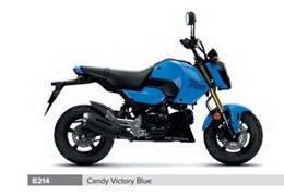 Neumotorrad Honda MSX125 Grom