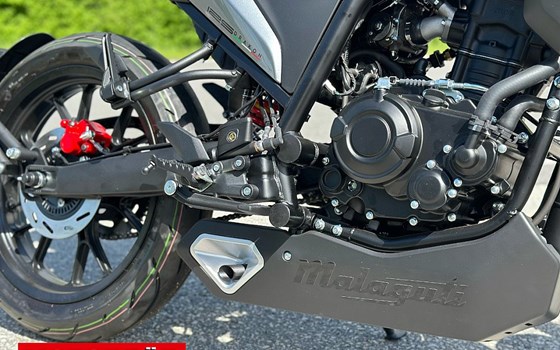 Neufahrzeug Malaguti Drakon 125 ABS - Bild 5 Neufahrzeug Malaguti Drakon 125 ABS - Bild 5