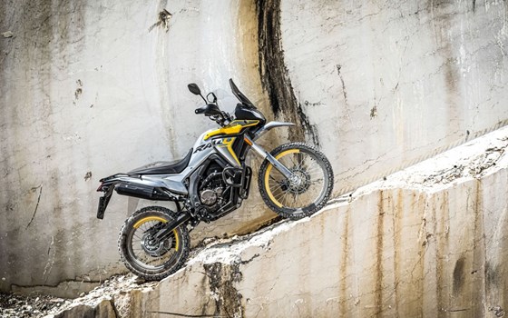 Neufahrzeug Voge 300 Rally - Bild 22