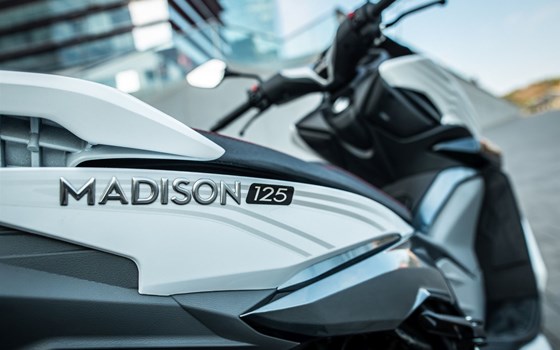Neufahrzeug Malaguti Madison 125 - Bild 6 Neufahrzeug Malaguti Madison 125 - Bild 6
