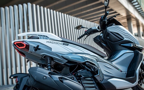 Neufahrzeug Malaguti Madison 125 - Bild 7 Neufahrzeug Malaguti Madison 125 - Bild 7