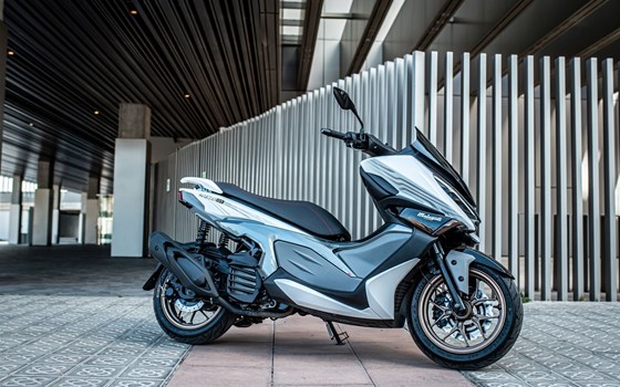 Neufahrzeug Malaguti Madison 125 - Bild 8 Neufahrzeug Malaguti Madison 125 - Bild 8