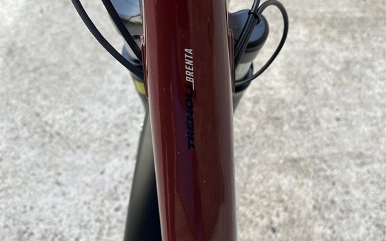 Neufahrzeug Trenoli BRENTA CLASSICO ACTIVE PLUS NX - Bild 2