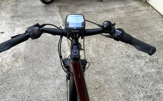 Neufahrzeug Trenoli BRENTA CLASSICO ACTIVE PLUS NX - Bild 3