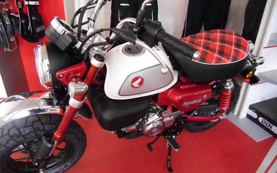 Neufahrzeug Honda Monkey 125 - Bild 3