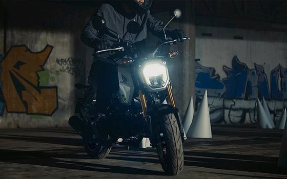 Neufahrzeug Honda MSX125 Grom - Bild 2