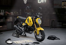 Neumotorrad Honda MSX125 Grom