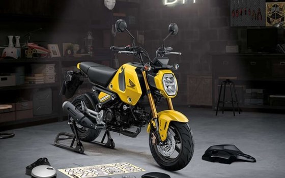 Neufahrzeug Honda MSX125 Grom - Bild 1