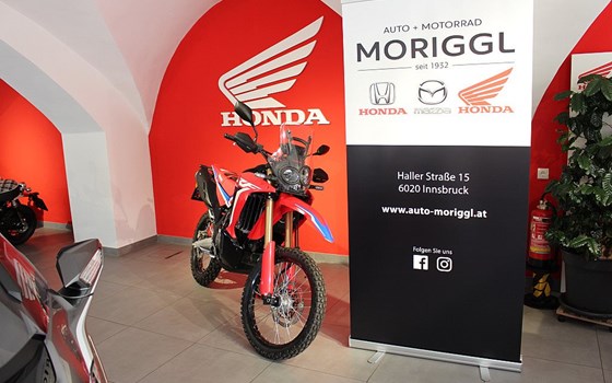 Neufahrzeug Honda CRF300 Rally - Bild 5 Neufahrzeug Honda CRF300 Rally - Bild 5