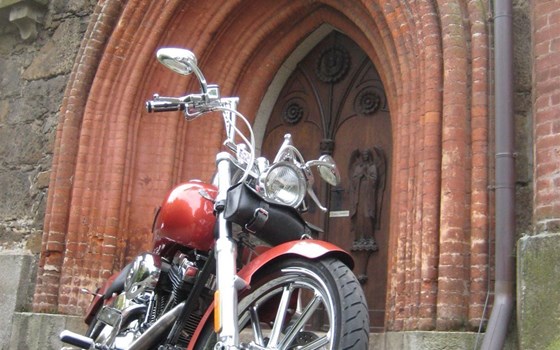 Gebrauchtmotorrad Harley-Davidson Softail Custom FXSTC - Bild 2