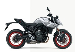 Neumotorrad Suzuki GSX-8S