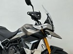 Angebot Triumph Tiger 900 Rally Pro