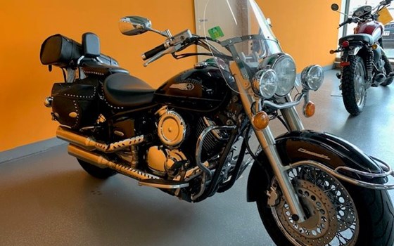 Gebrauchtmotorrad Yamaha XVS 1100 Drag Star - Bild 4