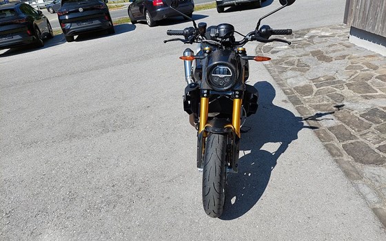 Neufahrzeug Indian FTR R Carbon - Bild 3