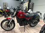 Angebot Benelli Leoncino 500 Trail