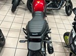 Angebot Benelli Leoncino 500 Trail