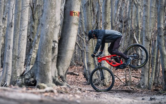 Neufahrzeug Ducati MIG-S - Bild 10