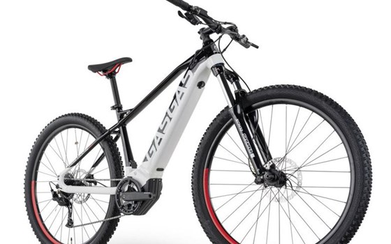 Neufahrzeug GASGAS G Cross Country 2.0 - Bild 2