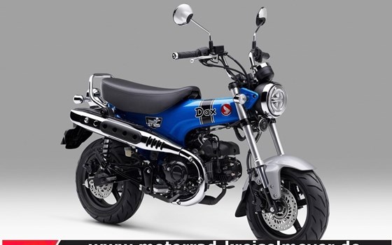 Neufahrzeug Honda Dax 125 - Bild 1