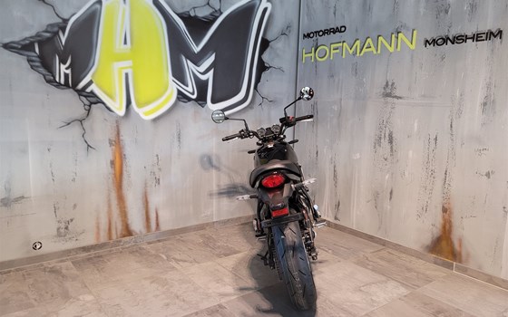 Neufahrzeug Kawasaki Z650 RS - Bild 6