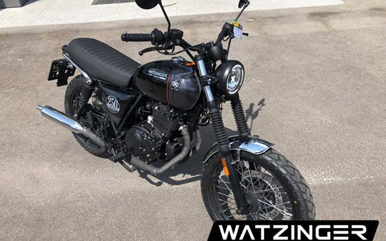 Neufahrzeug Brixton Cromwell 250 - Bild 11 Neufahrzeug Brixton Cromwell 250 - Bild 11