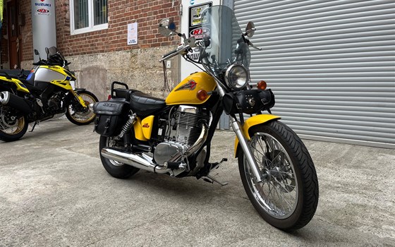 Gebrauchtmotorrad Suzuki Savage LS 650 - Bild 2