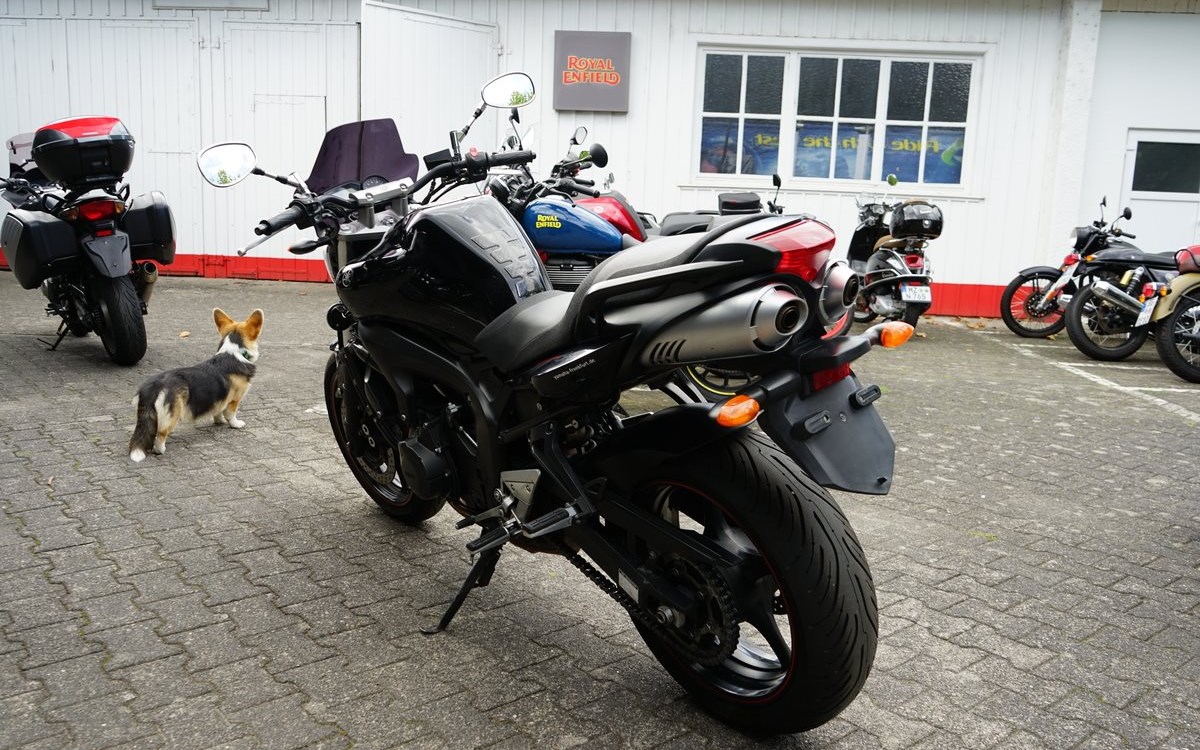 Angebot Yamaha FZ6 S2