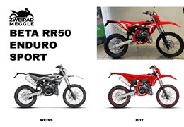 Neumotorrad Beta RR 50