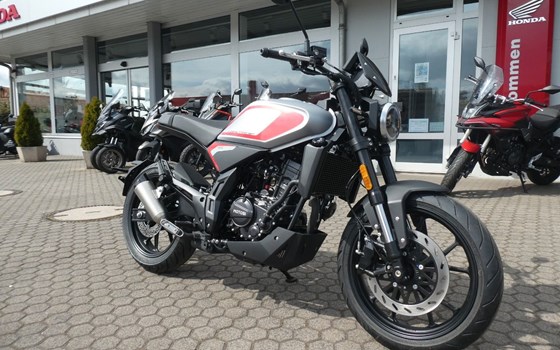 Neufahrzeug Motobi DL 125 Cafe Racer - Bild 1