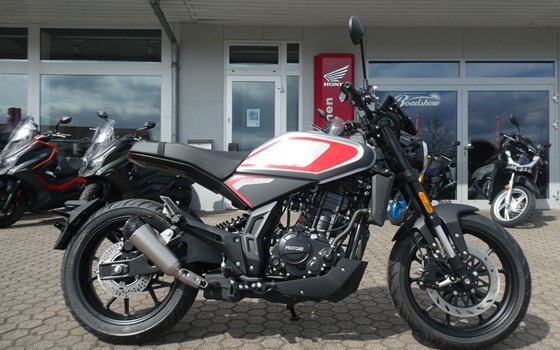 Neufahrzeug Motobi DL 125 Cafe Racer - Bild 2