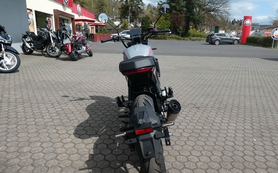 Neufahrzeug Motobi DL 125 Cafe Racer - Bild 4