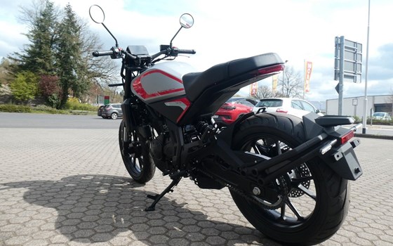 Neufahrzeug Motobi DL 125 Cafe Racer - Bild 5